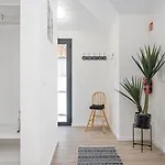 Apartment Basalt Dwelling Ii By Homie