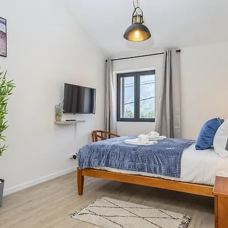 Daire Basalt Dwelling Ii By Homie