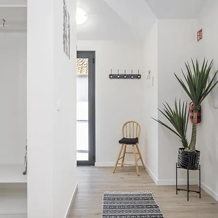 Basalt Dwelling Ii By Homie * São Vicente