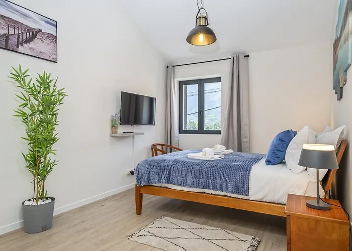 Apartment Basalt Dwelling Ii By Homie