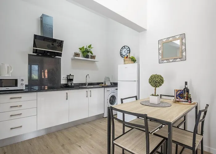 Apartment Basalt Dwelling Ii By Homie